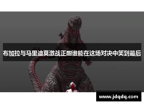 布加拉与马里迪莫激战正酣谁能在这场对决中笑到最后